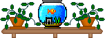 blinkie rack goldfish bowl and plants
