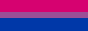 bi flag