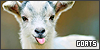 goats