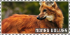 maned wolves, but maybe inactive