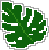 monstera leaf
