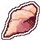 seashell
