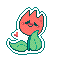 bashful tulip