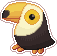 toucan