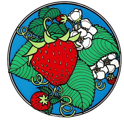 strawberries in bloom