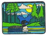 duck on lake