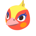 Phoebe Phoebe