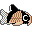 corydora