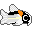 corydora