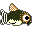 corydora