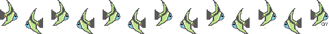blue/green angelfish border
