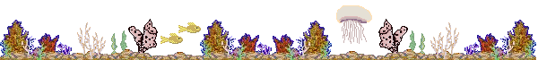reef divider, or THE GREAT BARRIER REEF AMIRITE?