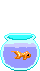 fish jumping out of bowl