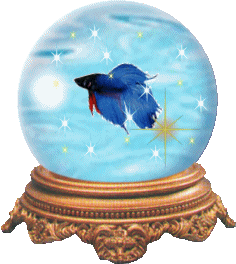 sparkly betta globe