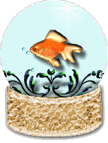 goldfish globe