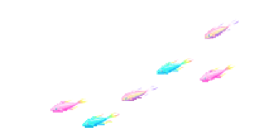 neon schooling fish