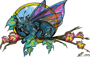 fairy cat