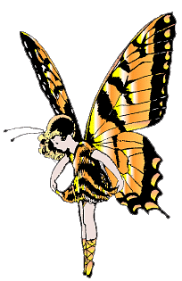 orange and black striped fairy