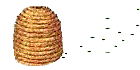 bee hive