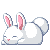 white bunny