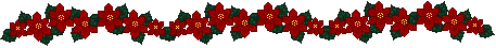 poinsettia divider
