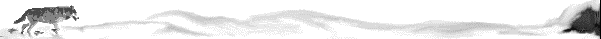 wolf and landscape divider