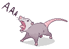 pasum screm