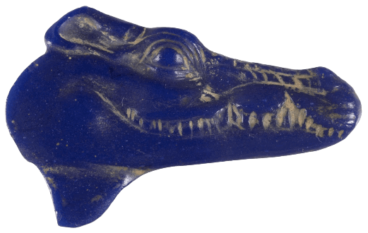 glass head of a crocodile