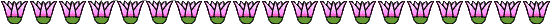 lotus divider