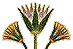 alt lotus