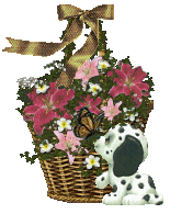dalmation butterfly pink flower basket