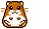reading hamster