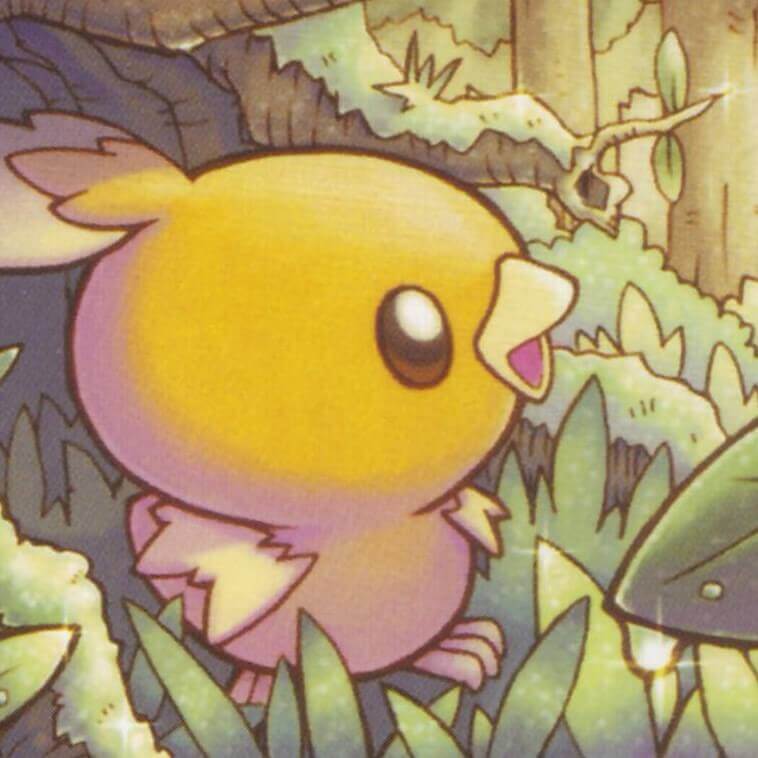 torchic