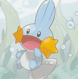 mudkip