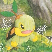 turtwig