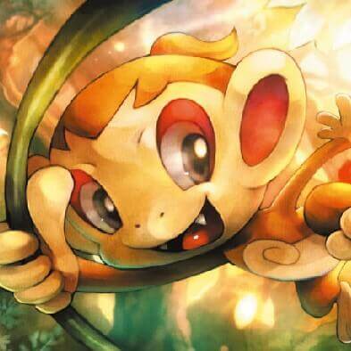 chimchar