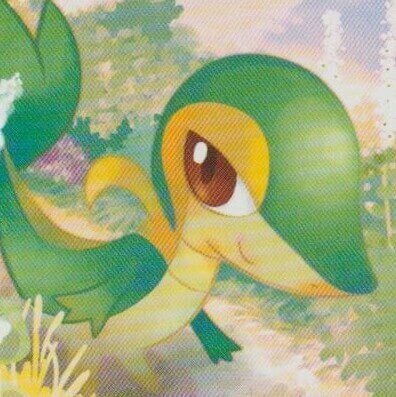 snivy