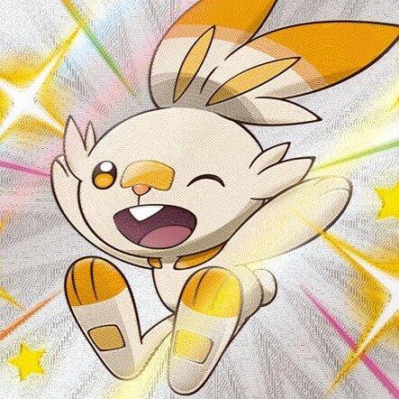 scorbunny