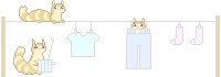furret clothesline