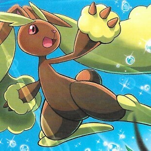 Sebastian Lopunny