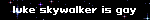luke skywalker is gay